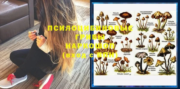 винт Балахна