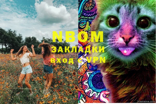 винт Балахна