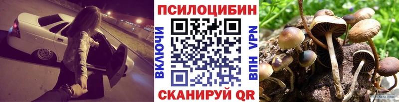 нарко площадка как зайти  Горячий Ключ  Галлюциногенные грибы мицелий 